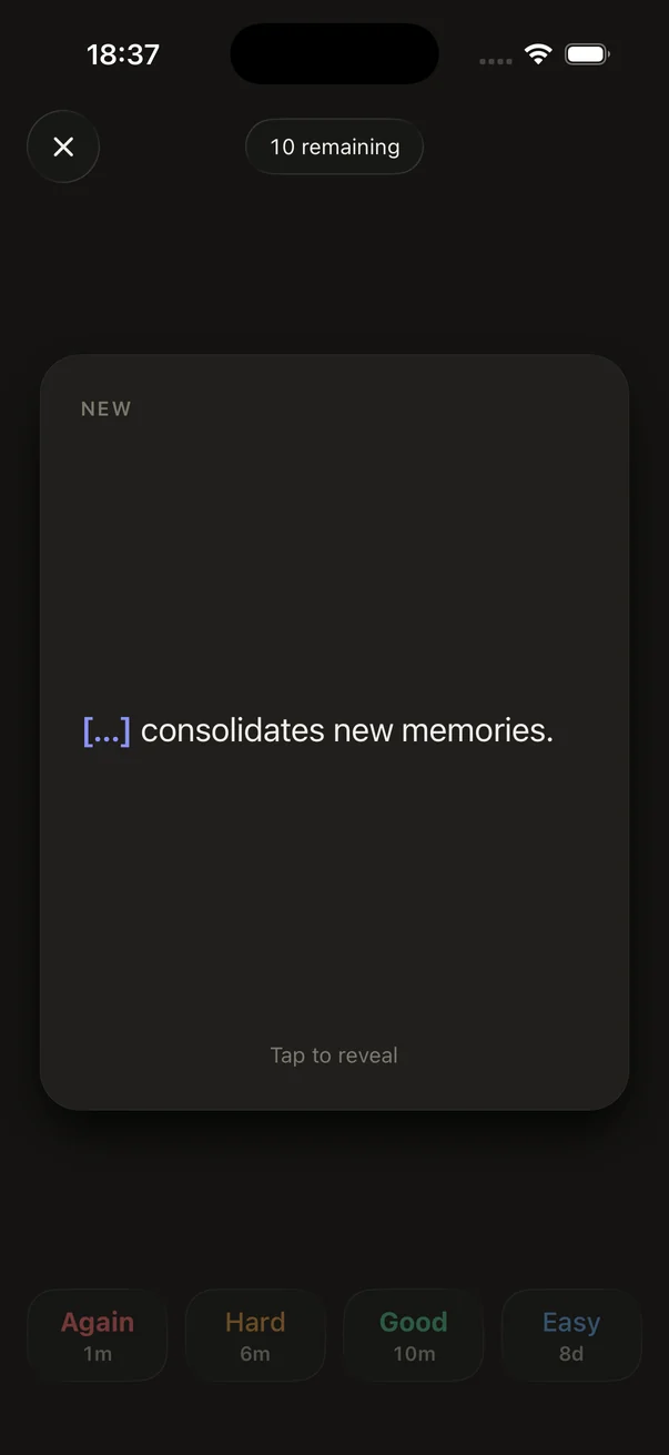 MemSpark: study before grading, dark appearance